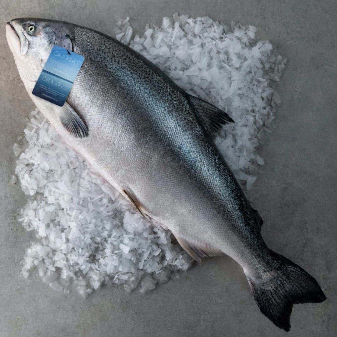 Why Ora King Salmon Is So Special - Hagen's Organics
