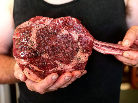 British White Cattle - Heritage Breed Cattle at Hagen's